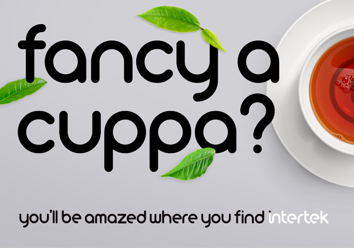 You'll Be Amazed highlights